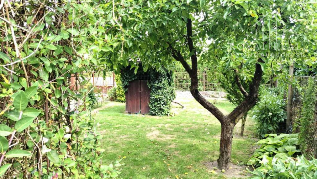 PANICKÉ DRAVCE - RD na pozemku 54 árov - ideálne farmárske bývanie na vidieku