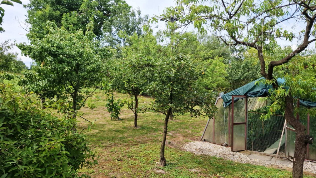 PANICKÉ DRAVCE - RD na pozemku 54 árov - ideálne farmárske bývanie na vidieku