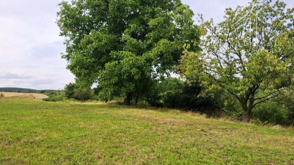 PANICKÉ DRAVCE - RD na pozemku 54 árov - ideálne farmárske bývanie na vidieku