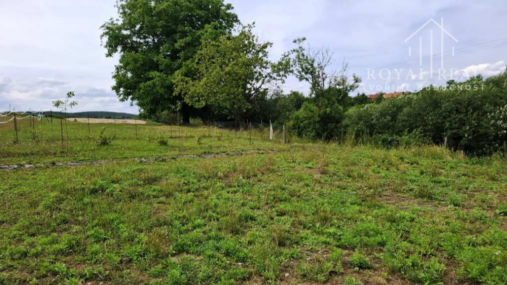 PANICKÉ DRAVCE - RD na pozemku 54 árov - ideálne farmárske bývanie na vidieku