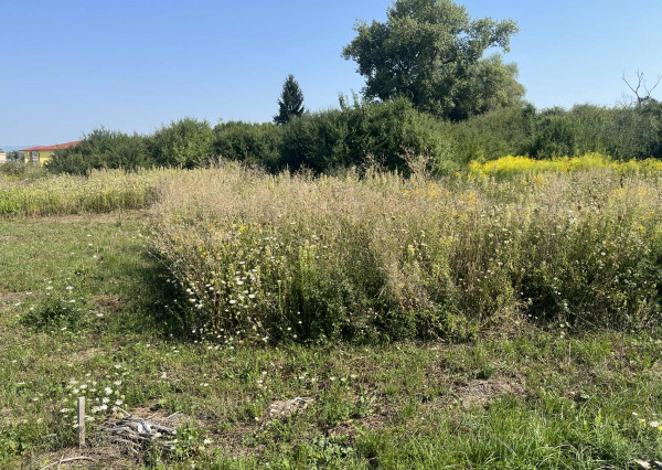 RAPOVCE okr. LUČENEC- rekreačný pozemok 201 m2 s investičným POTENCIÁLOM