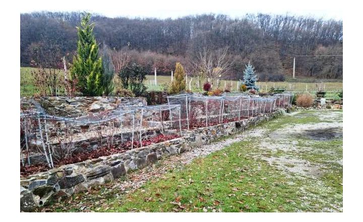 LUKOVIŠTIA okr. RIMAVSKÁ SOBOTA -  štýlovo zrekonštruovaná RODINNÁ USADLOSŤ 1,8 ha s bohatým zázemím - fotografia 3