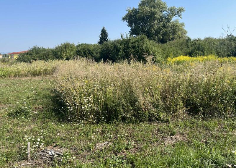RAPOVCE okr. LUČENEC-  rekreačný pozemok 201 m2 s investičným POTENCIÁLOM